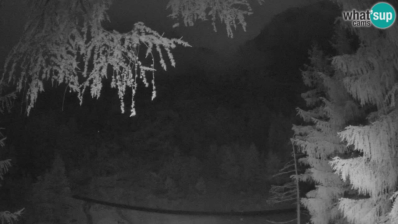 Spletna Kamera Vršič – Erjavčeva hiša – Slovenija