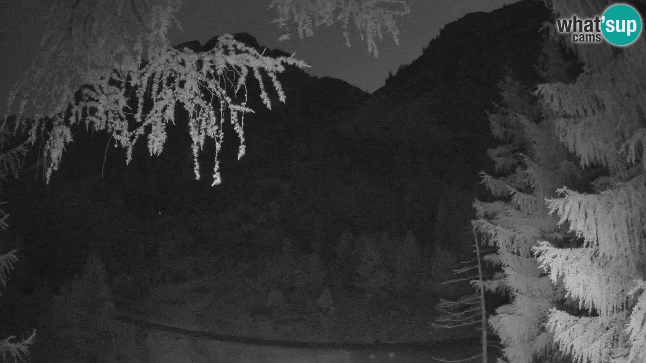Live webcam Vršič – Baita di montagna Erjavčeva – Slovenia