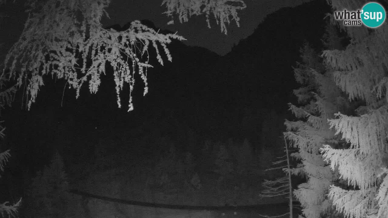 Webcam en direct Vršič – Maison Erjavčeva – Slovénie