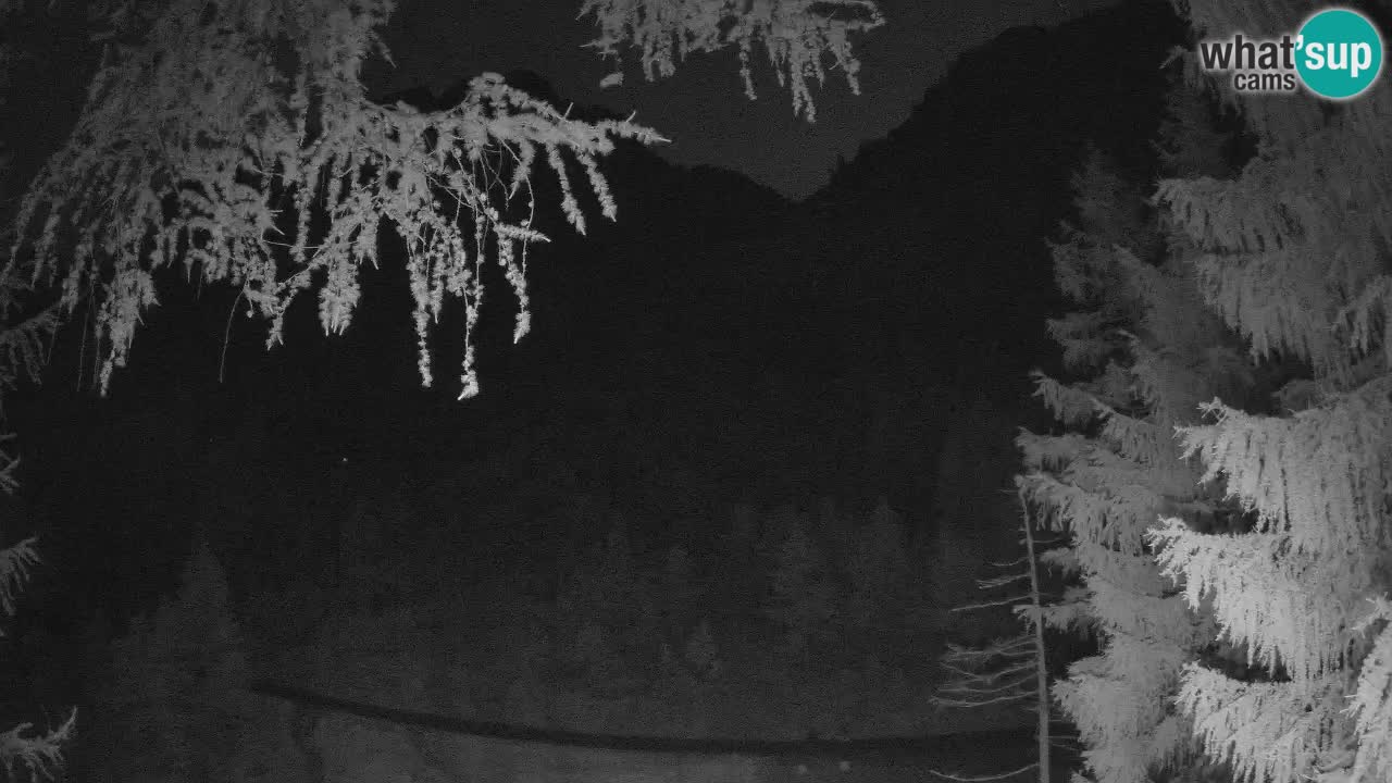 Live webcam Vršič – Erjavčeva house – Slovenia