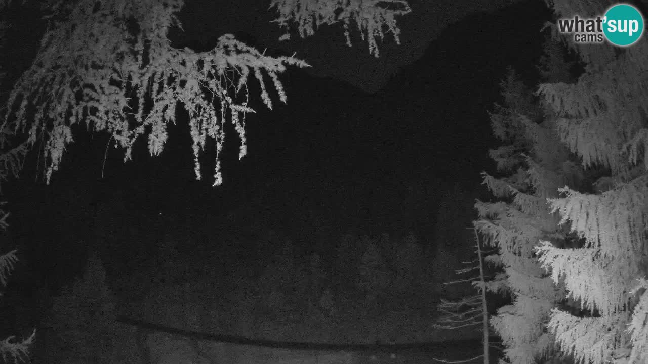 Spletna Kamera Vršič – Erjavčeva hiša – Slovenija