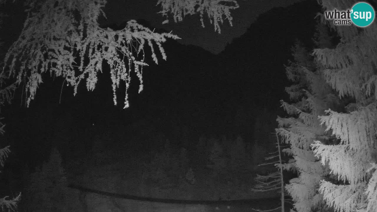 Webcam en direct Vršič – Maison Erjavčeva – Slovénie