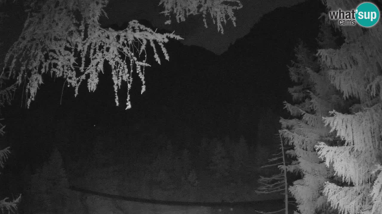 Webcam en direct Vršič – Maison Erjavčeva – Slovénie