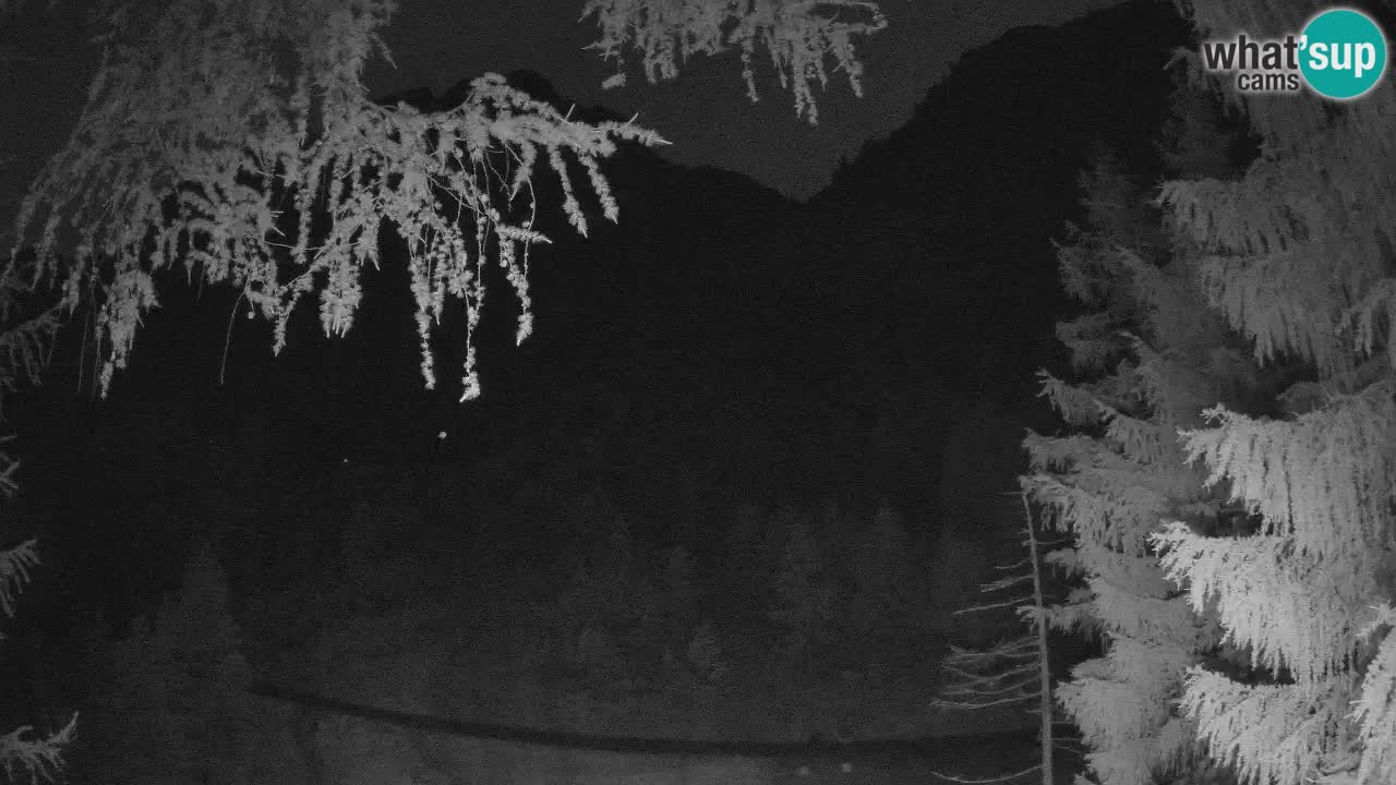 Web kamera Vršič – Erjavčeva kuca – Slovenija