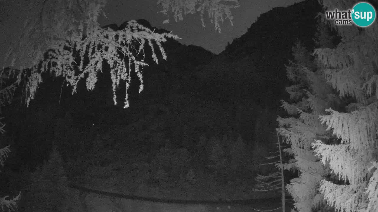 Web kamera Vršič – Erjavčeva kuca – Slovenija