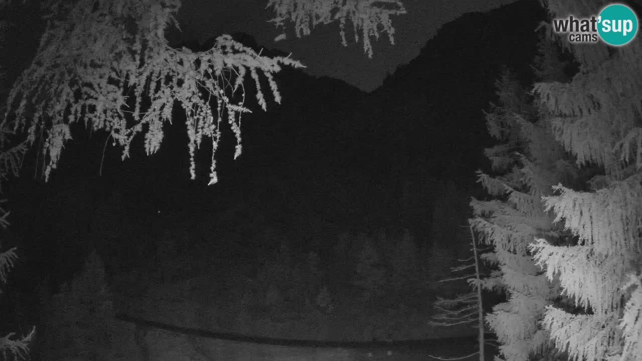 Cámara web en vivo Vršič – Casa Erjavčeva – Eslovenia