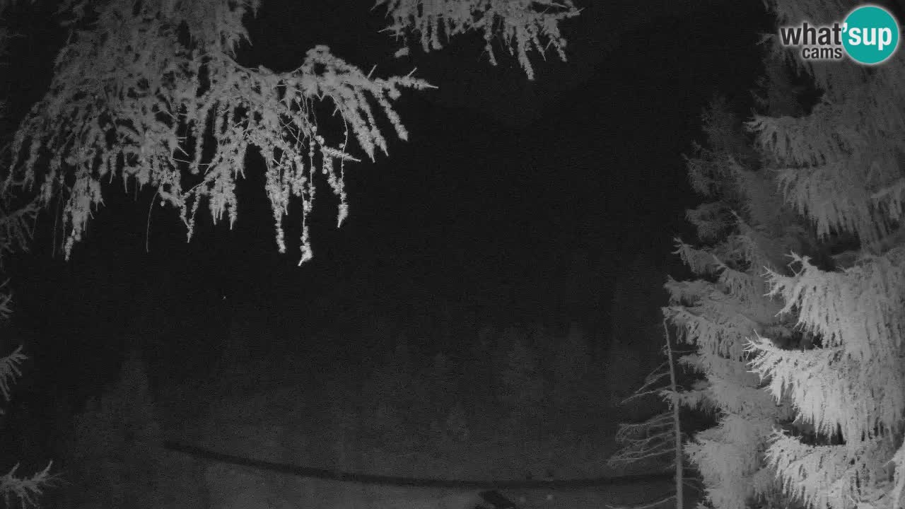 Webcam en direct Vršič – Maison Erjavčeva – Slovénie