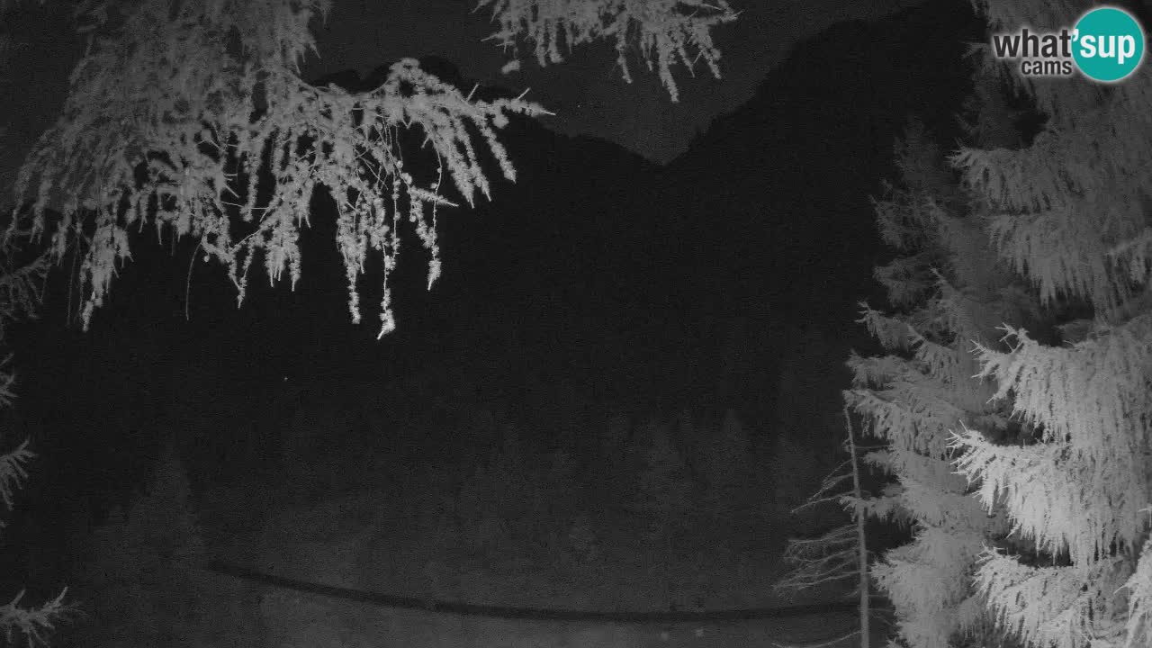 Live webcam Vršič – Erjavčeva house – Slovenia
