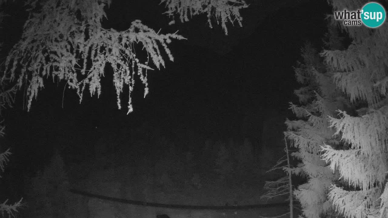 Live webcam Vršič – Erjavčeva house – Slovenia