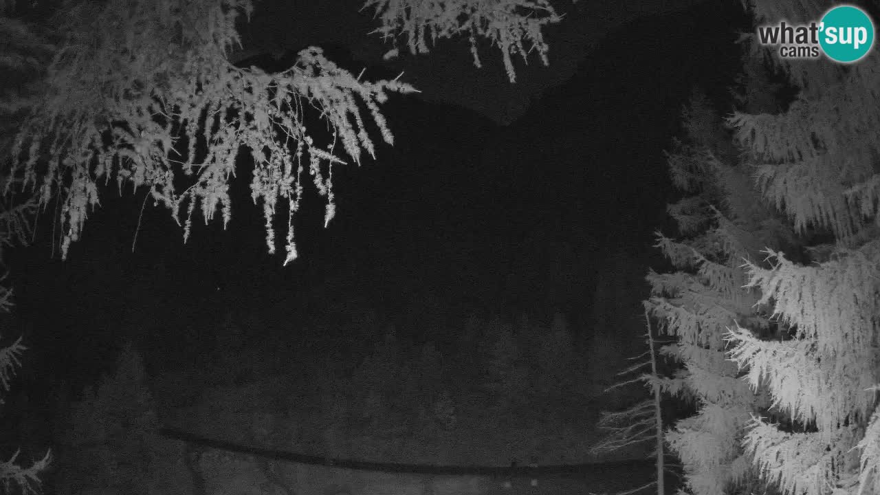 Live webcam Vršič – Erjavčeva house – Slovenia