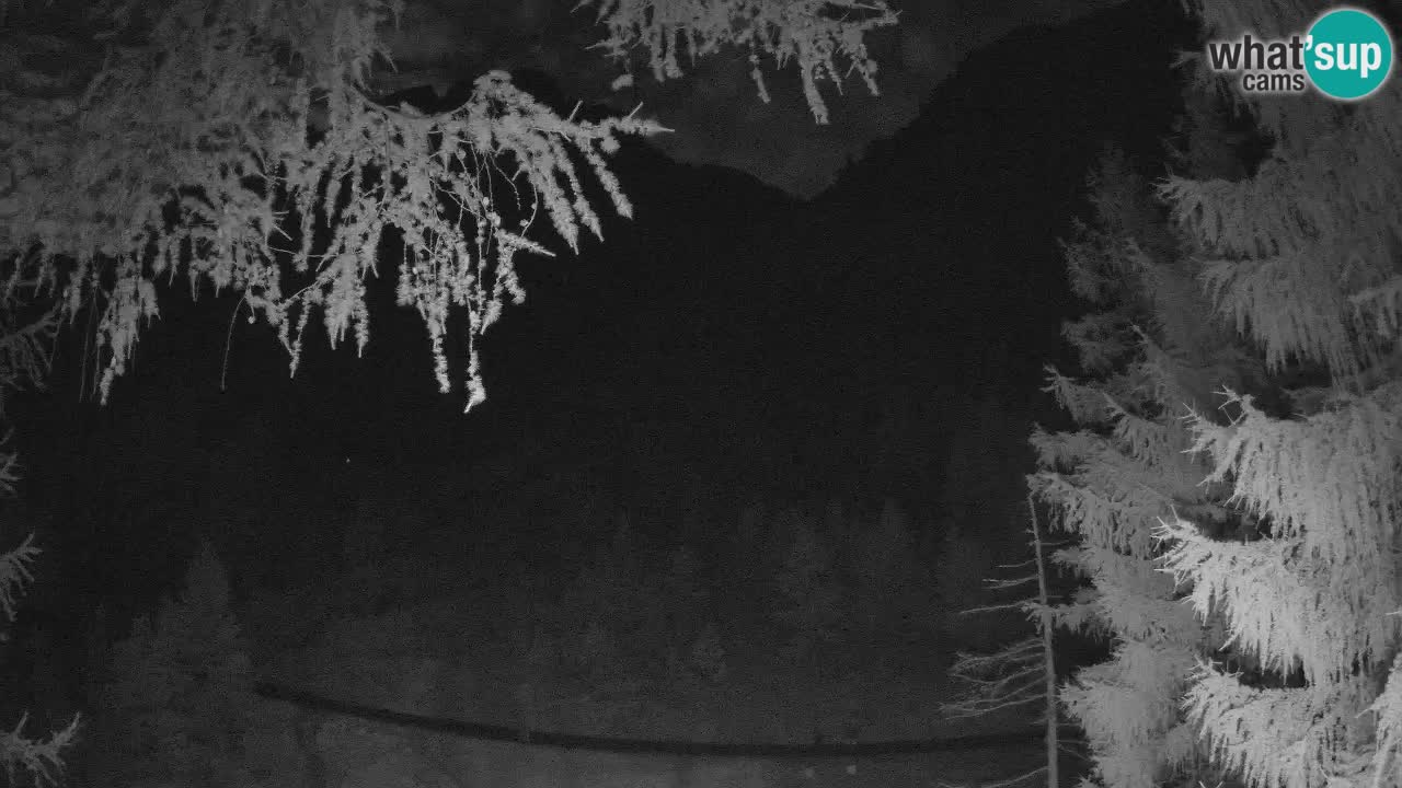 Spletna Kamera Vršič – Erjavčeva hiša – Slovenija