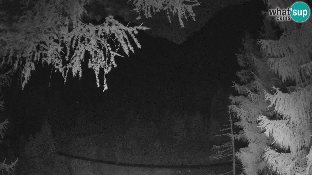 Webcam en direct Vršič – Maison Erjavčeva – Slovénie
