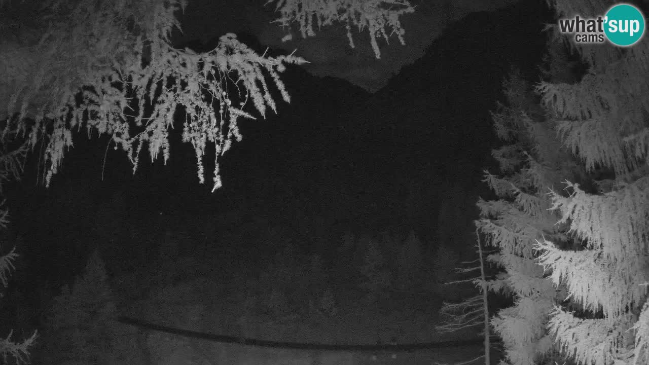 Live webcam Vršič – Erjavčeva house – Slovenia