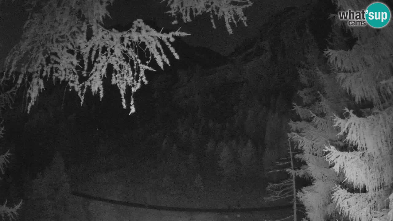 Cámara web en vivo Vršič – Casa Erjavčeva – Eslovenia