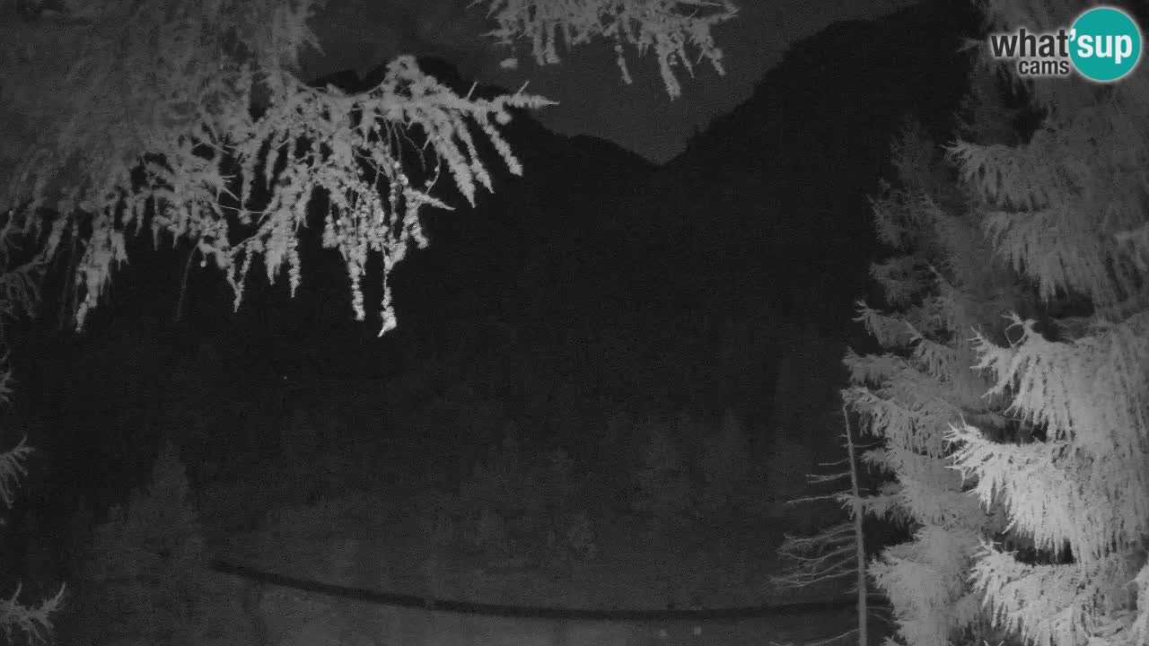 Live webcam Vršič – Baita di montagna Erjavčeva – Slovenia