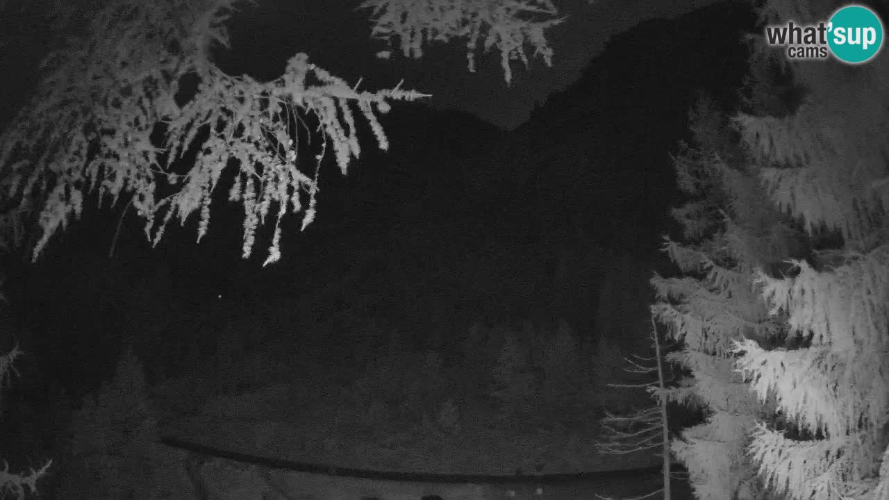 Live Webcam Vršič – Haus Erjavčeva – Slowenien