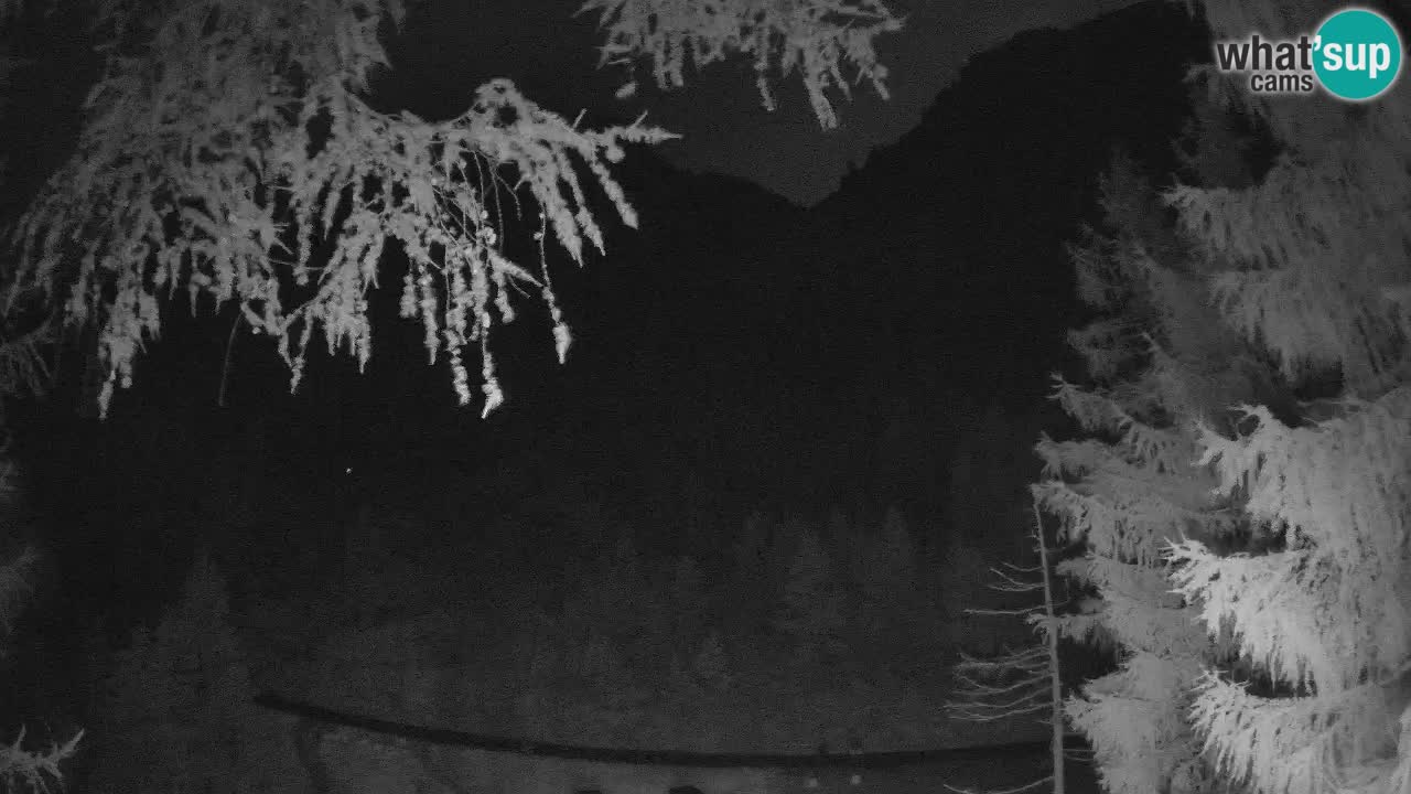 Live Webcam Vršič – Haus Erjavčeva – Slowenien