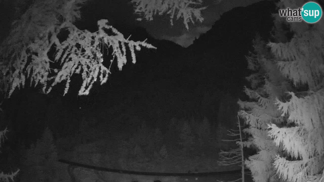 Spletna Kamera Vršič – Erjavčeva hiša – Slovenija