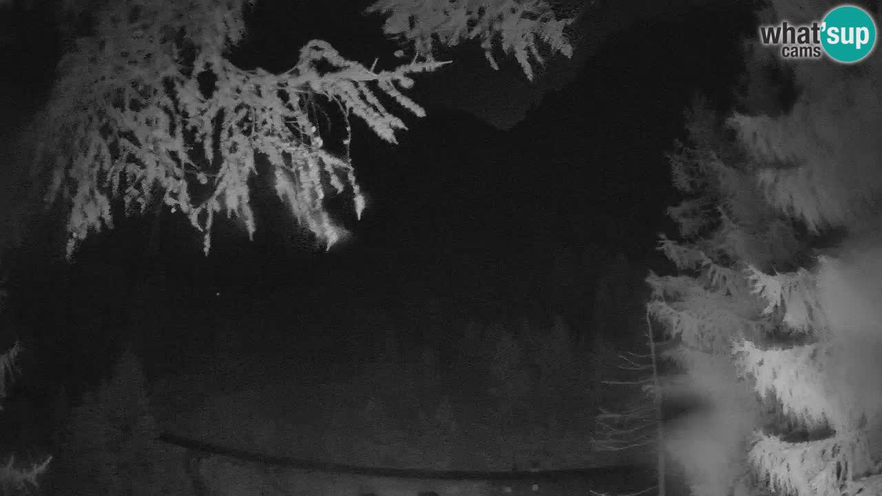 Live webcam Vršič – Erjavčeva house – Slovenia