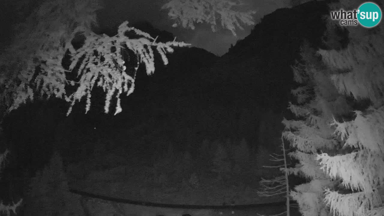 Webcam en direct Vršič – Maison Erjavčeva – Slovénie