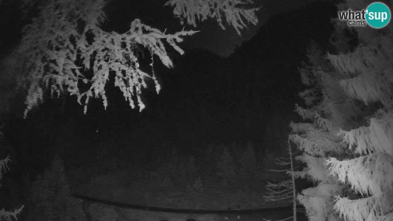 Spletna Kamera Vršič – Erjavčeva hiša – Slovenija
