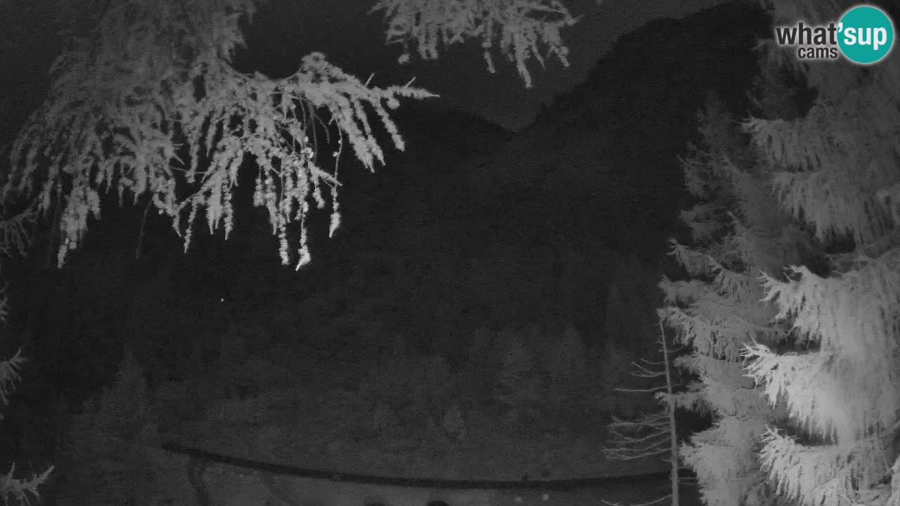 Webcam en direct Vršič – Maison Erjavčeva – Slovénie