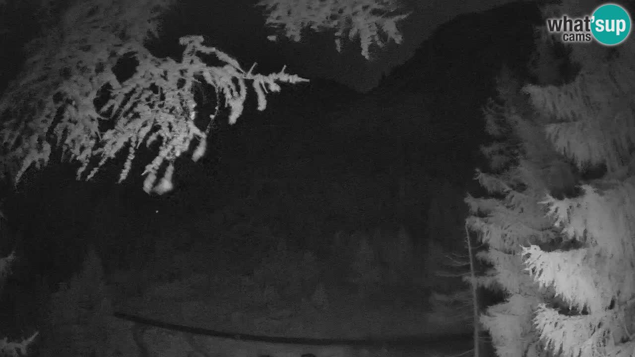 Web kamera Vršič – Erjavčeva kuca – Slovenija