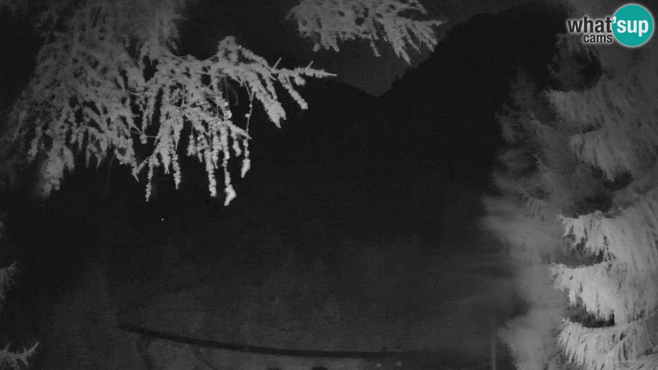 Webcam en direct Vršič – Maison Erjavčeva – Slovénie