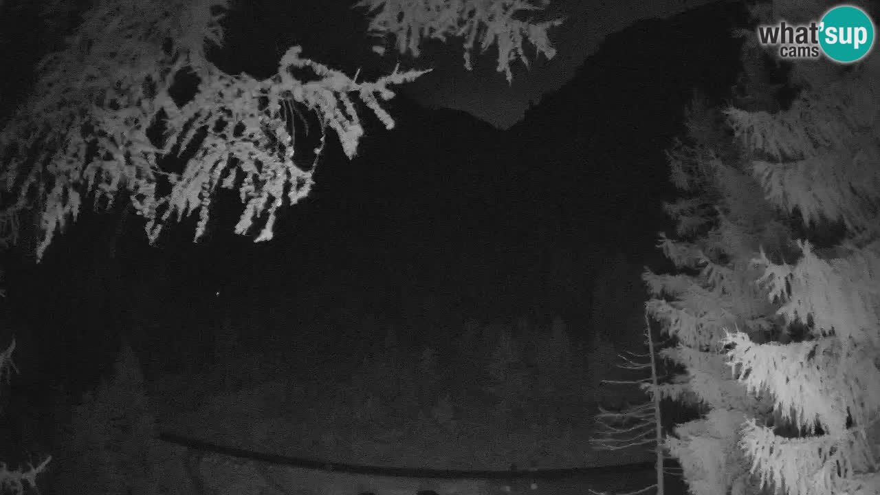Live webcam Vršič – Baita di montagna Erjavčeva – Slovenia
