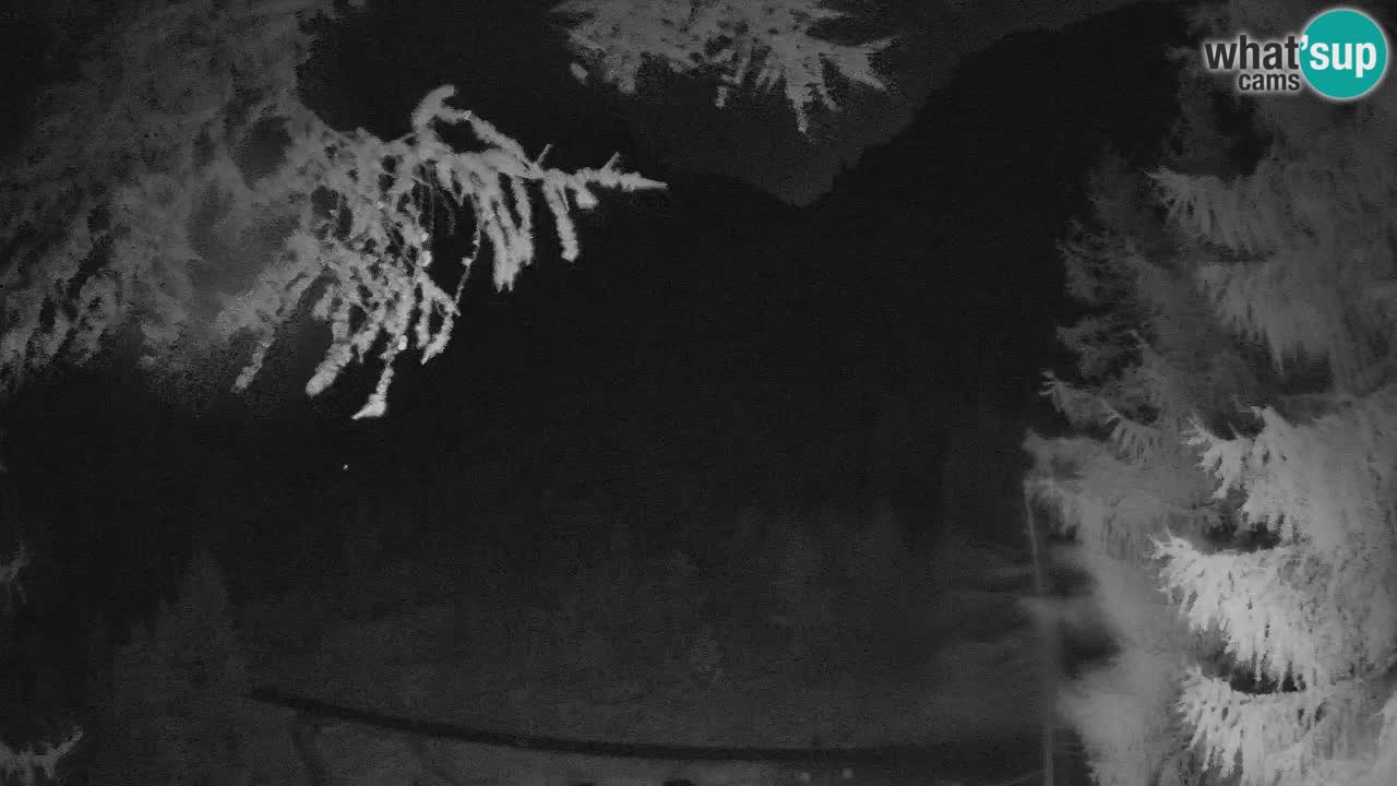 Web kamera Vršič – Erjavčeva kuca – Slovenija