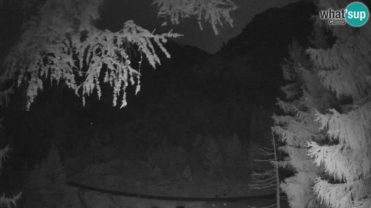 Webcam en direct Vršič – Maison Erjavčeva – Slovénie