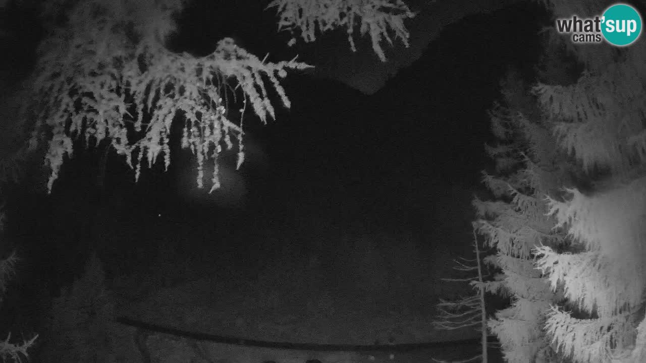 Live Webcam Vršič – Haus Erjavčeva – Slowenien