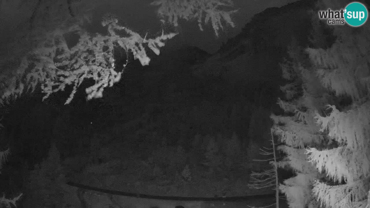 Spletna Kamera Vršič – Erjavčeva hiša – Slovenija