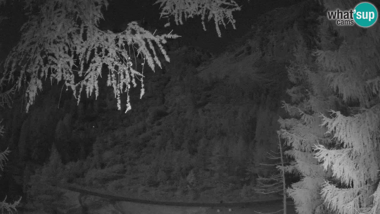 Spletna Kamera Vršič – Erjavčeva hiša – Slovenija