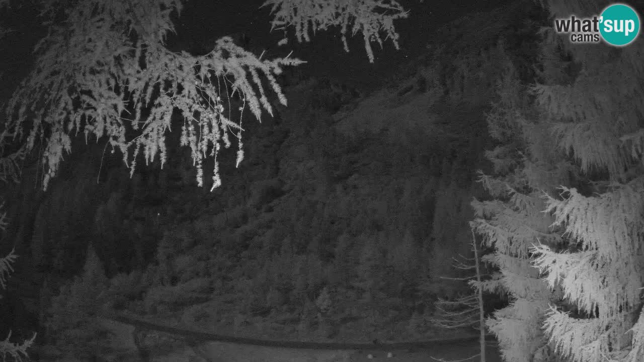 Spletna Kamera Vršič – Erjavčeva hiša – Slovenija
