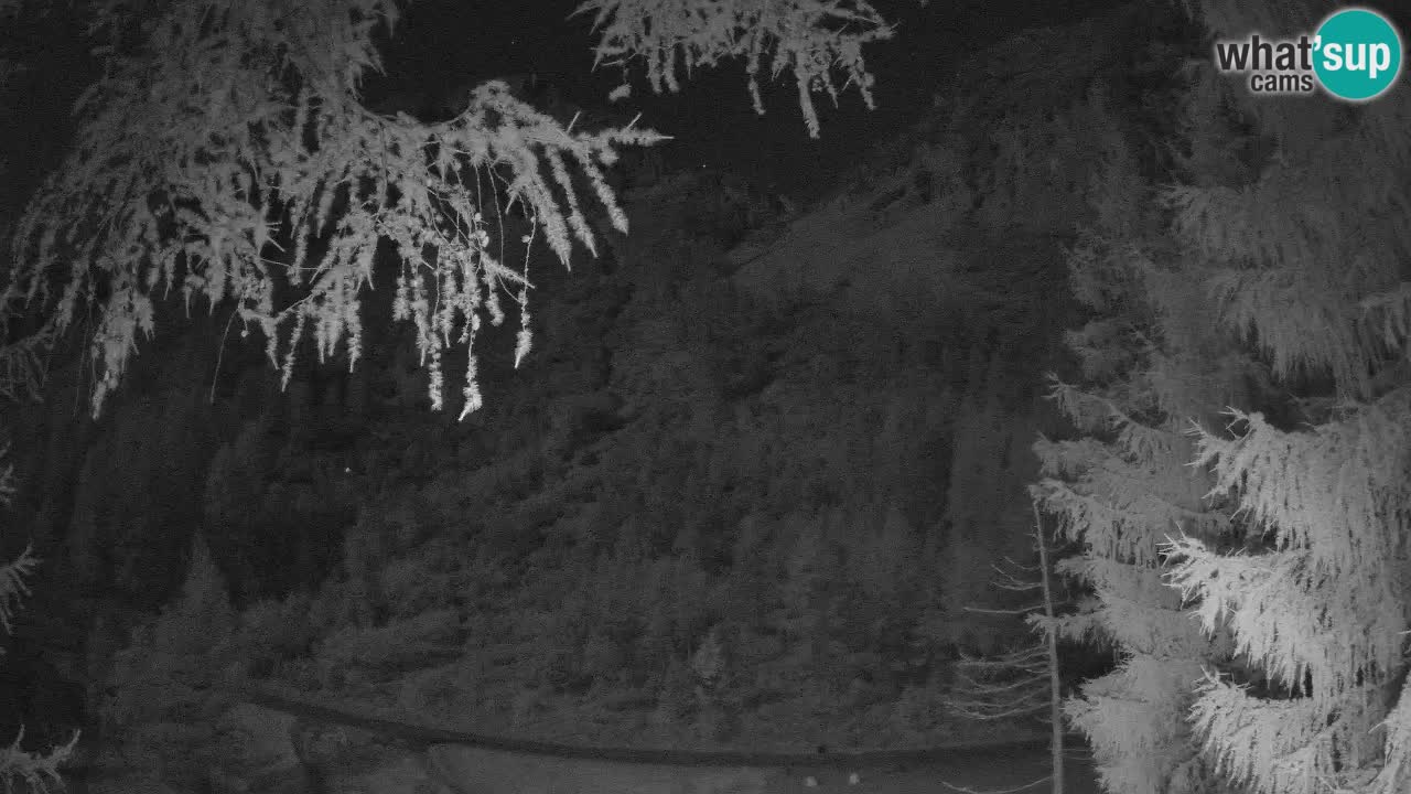 Cámara web en vivo Vršič – Casa Erjavčeva – Eslovenia