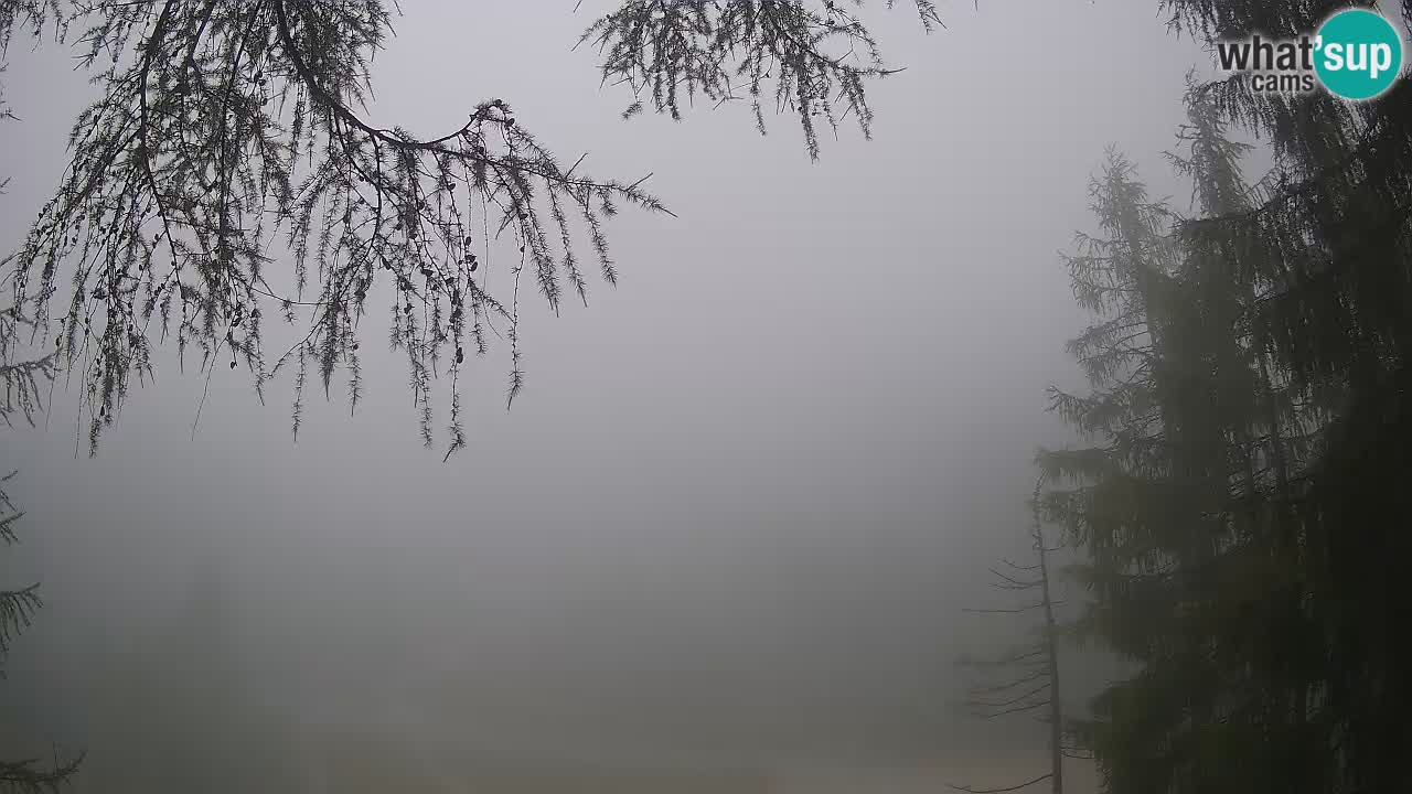 Live webcam Vršič – Baita di montagna Erjavčeva – Slovenia