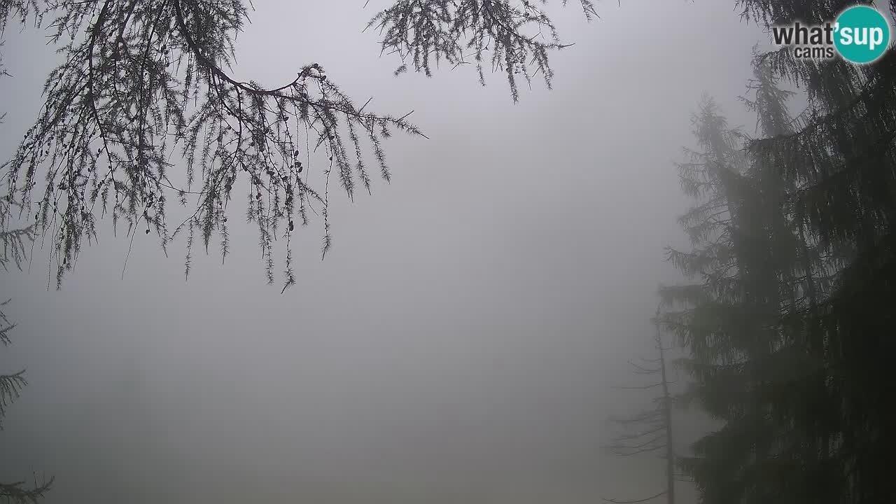 Webcam en direct Vršič – Maison Erjavčeva – Slovénie