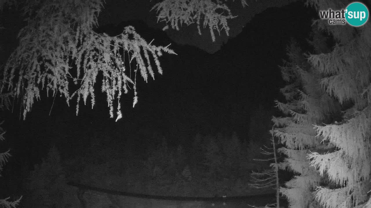 Live webcam Vršič – Erjavčeva house – Slovenia
