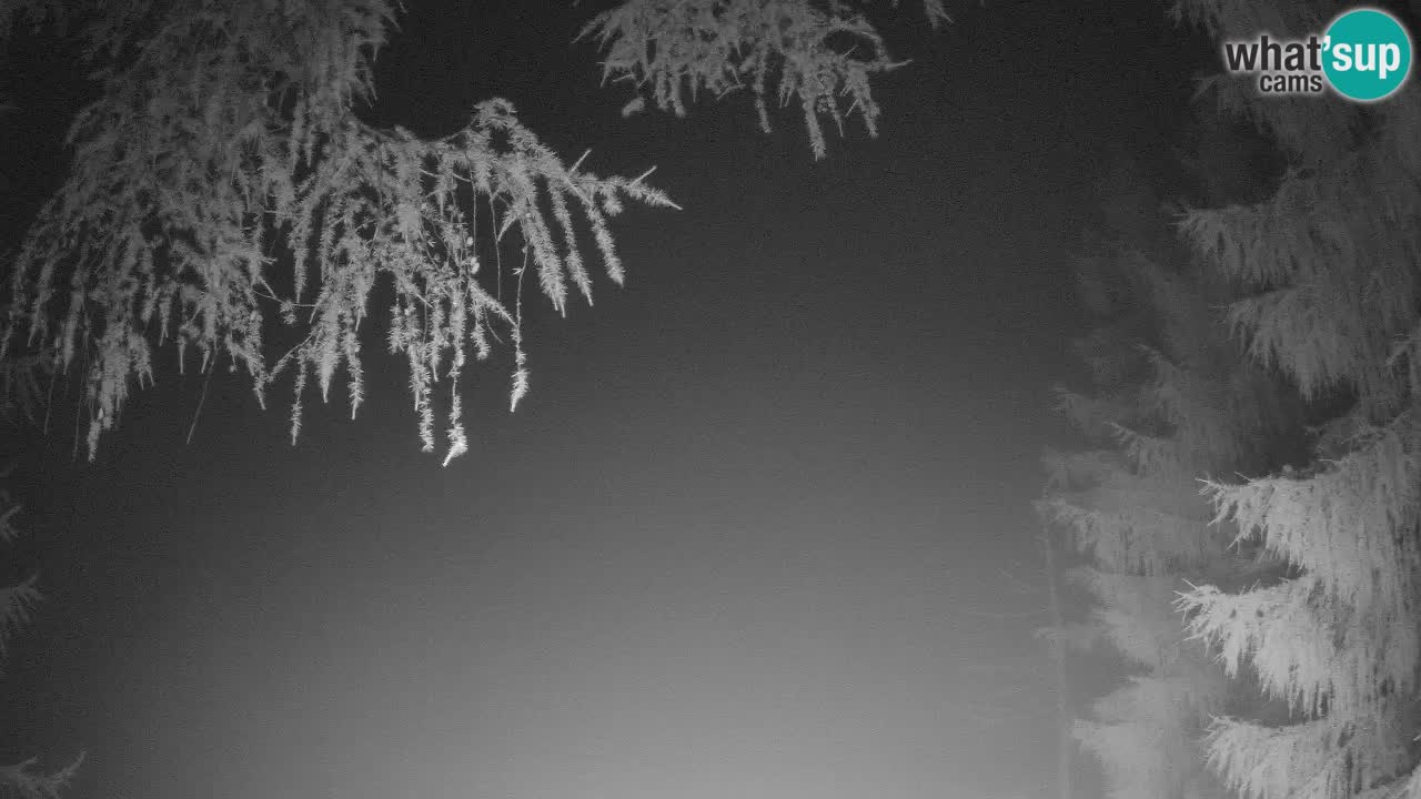 Live webcam Vršič – Erjavčeva house – Slovenia