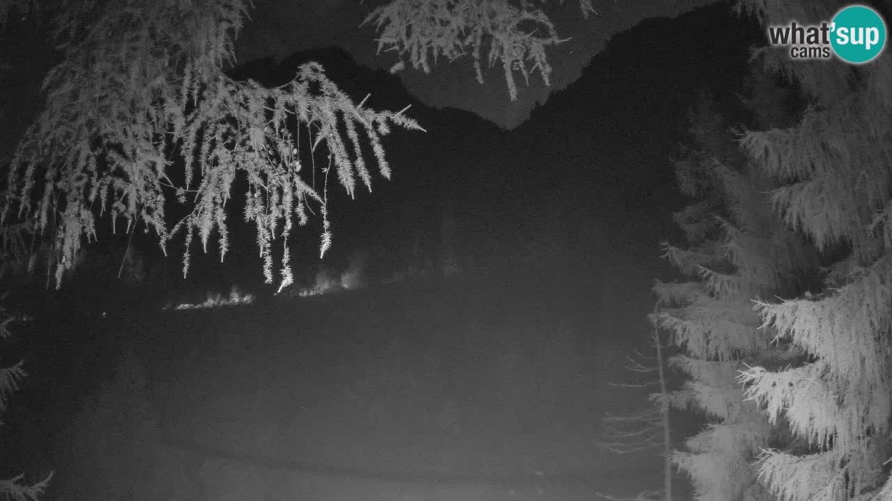 Cámara web en vivo Vršič – Casa Erjavčeva – Eslovenia