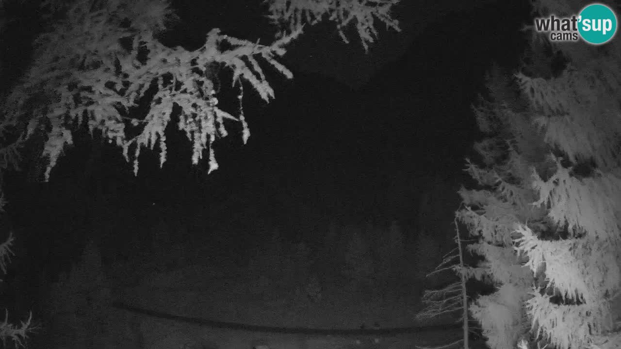 Cámara web en vivo Vršič – Casa Erjavčeva – Eslovenia