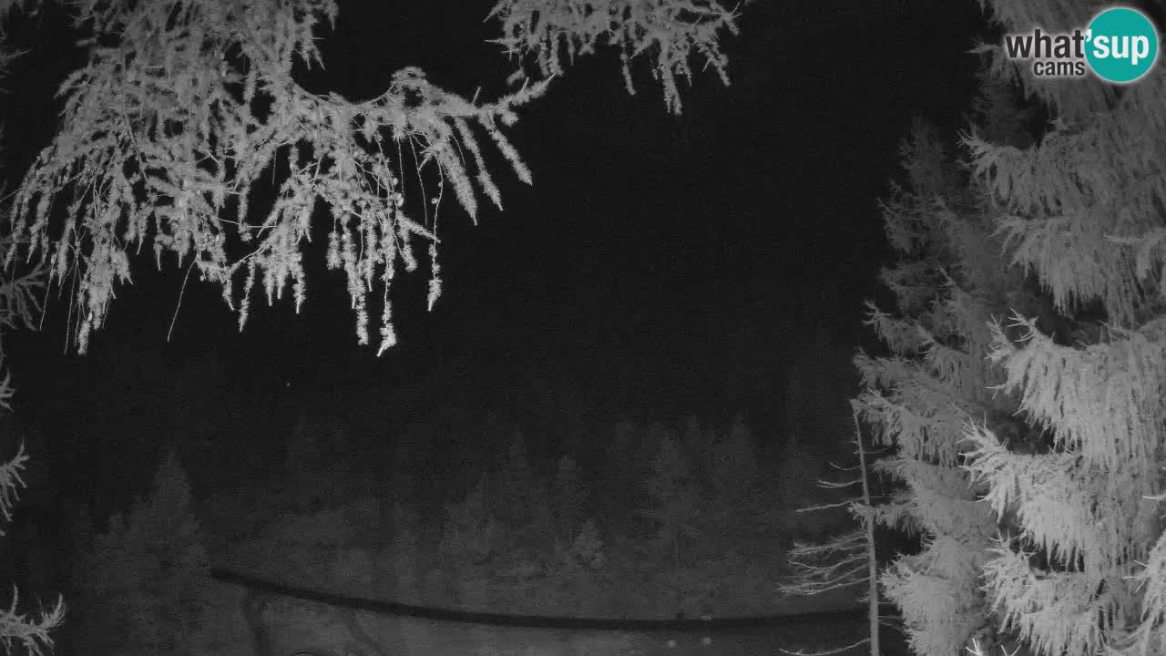 Live Webcam Vršič – Haus Erjavčeva – Slowenien