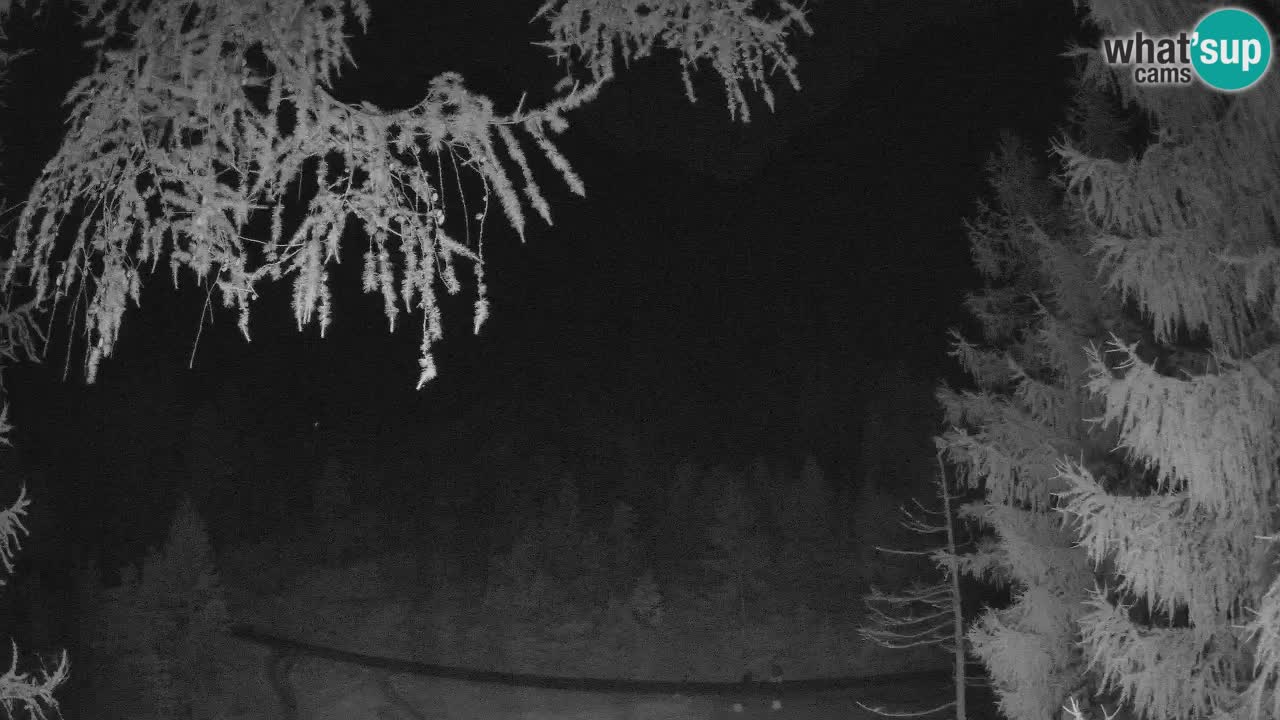 Webcam en direct Vršič – Maison Erjavčeva – Slovénie