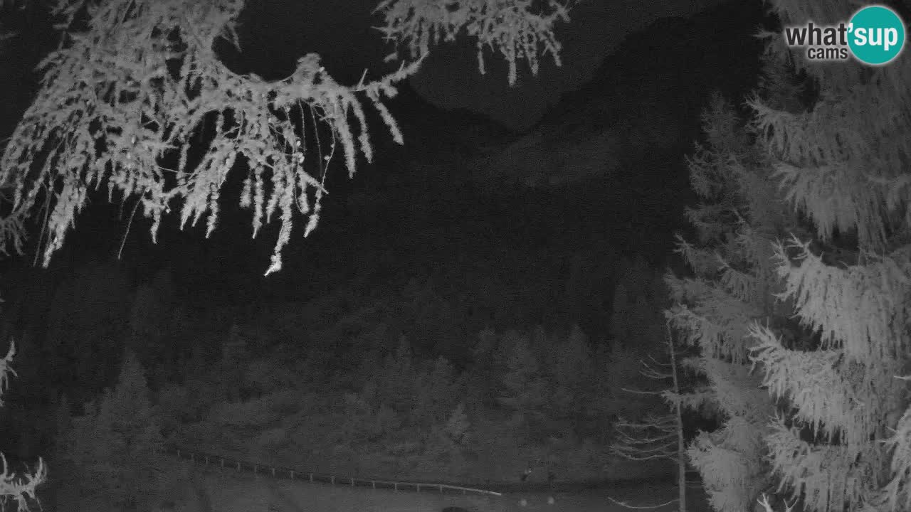 Live webcam Vršič – Erjavčeva house – Slovenia