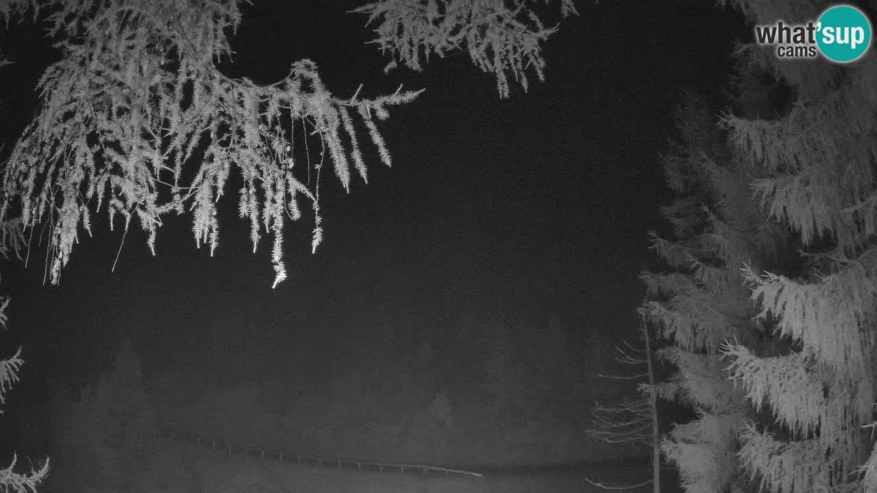 Live Webcam Vršič – Haus Erjavčeva – Slowenien
