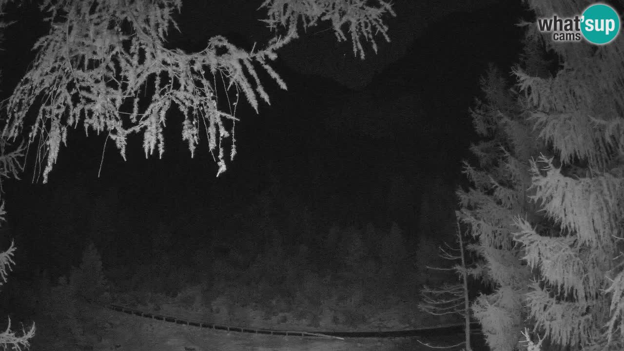 Live Webcam Vršič – Haus Erjavčeva – Slowenien