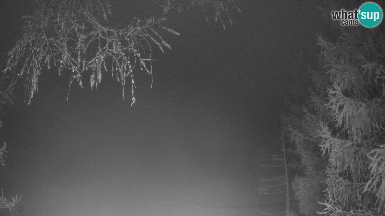 Live webcam Vršič – Erjavčeva house – Slovenia