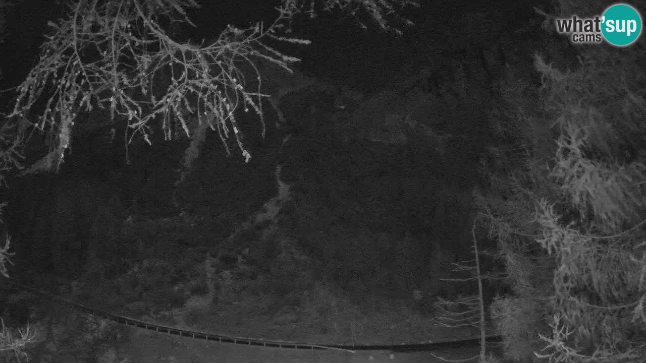 Cámara web en vivo Vršič – Casa Erjavčeva – Eslovenia