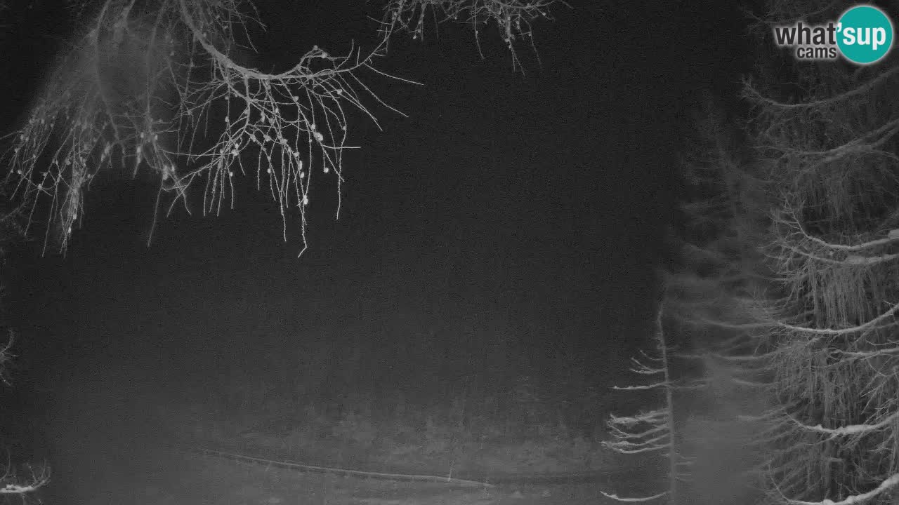 Live webcam Vršič – Baita di montagna Erjavčeva – Slovenia